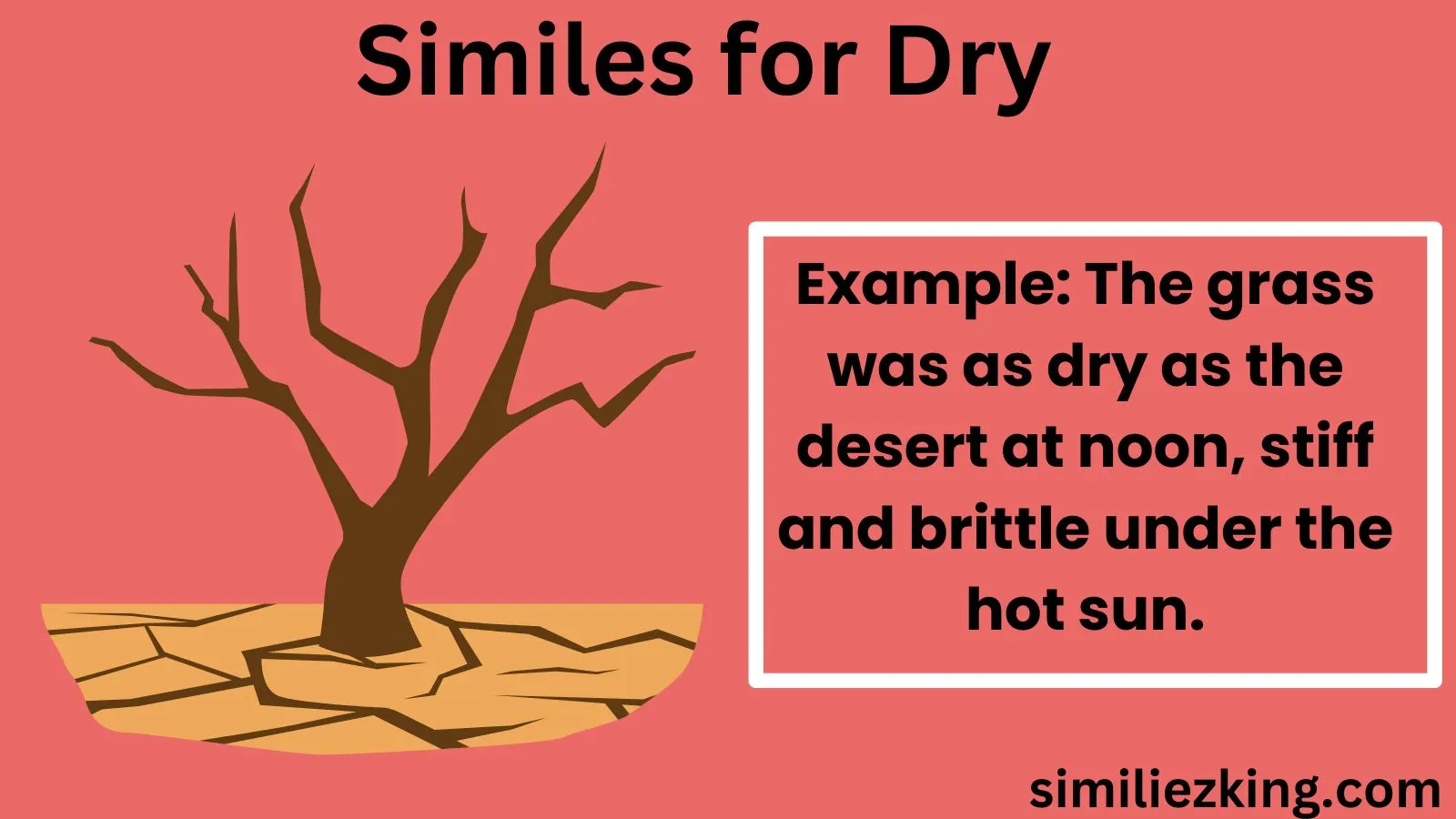 You are currently viewing 20+ Similes for Dry