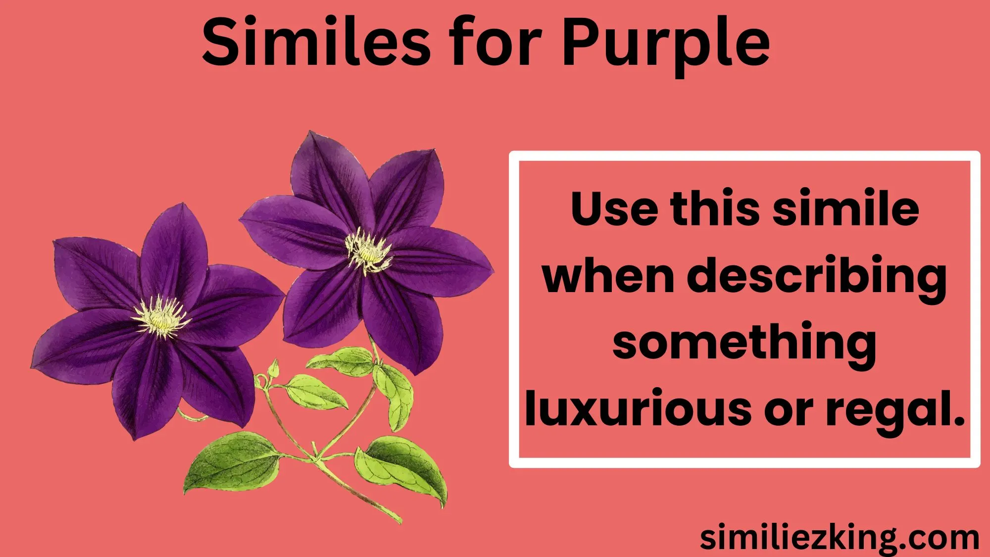 You are currently viewing 15 Similes for Purple: Exploring Creative Comparisons