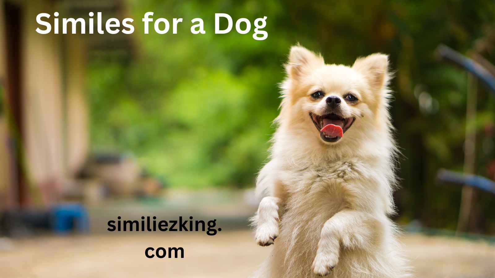 You are currently viewing 15+ Similes for a Dog: Creative Ways to Describe Your Canine Companion