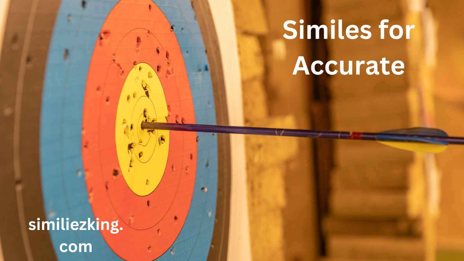 You are currently viewing 20+ Similes for Accurate