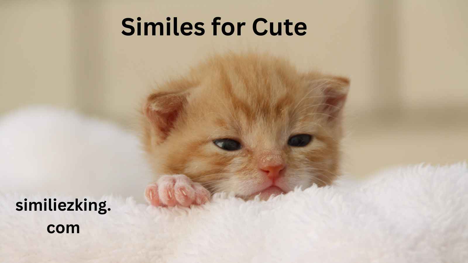 You are currently viewing 20+ Similes for Cute