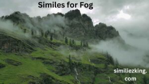 Read more about the article 25+ Similes for Fog