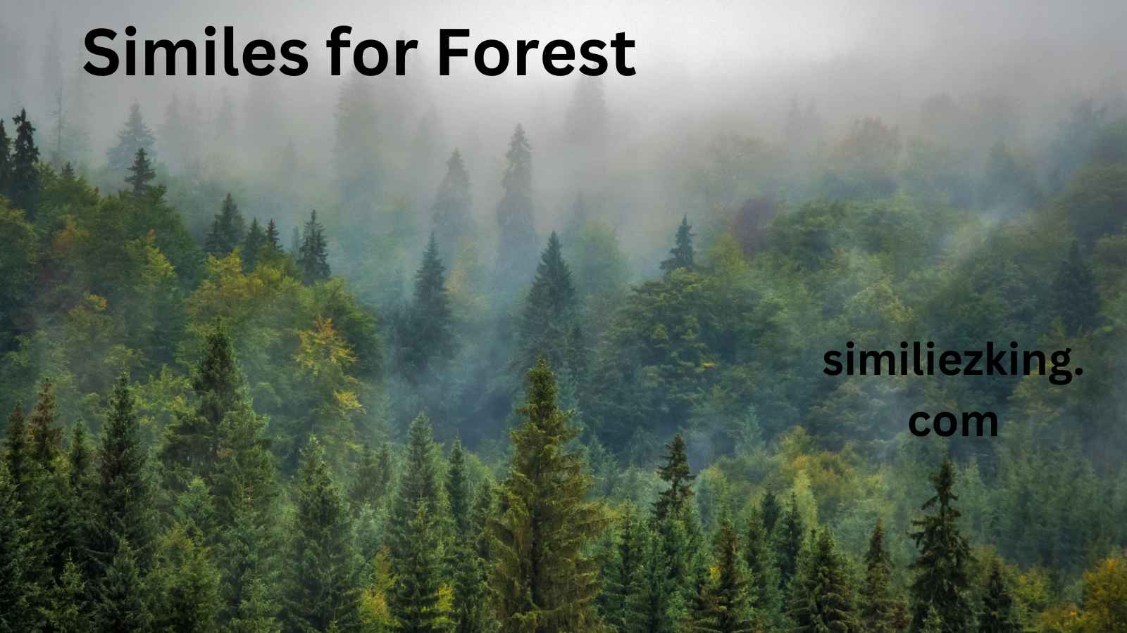 You are currently viewing 10+ Similes for Forest: A Comprehensive Guide to Expressive Imagery