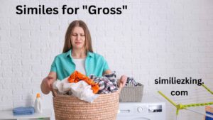Read more about the article 25+ Similes for “Gross”: Polite, Professional, and Casual Alternatives