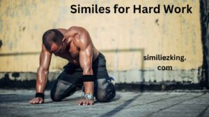 Read more about the article 15+ Similes for Hard Work