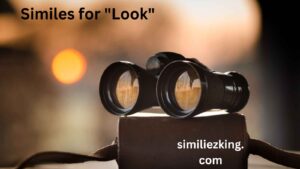 Read more about the article 10+ Similes for “Look”