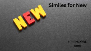 Read more about the article 25+ Similes for New