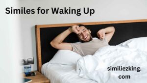 Read more about the article 15+ Similes for Waking Up