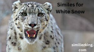 Read more about the article 15+ Similes for White Snow