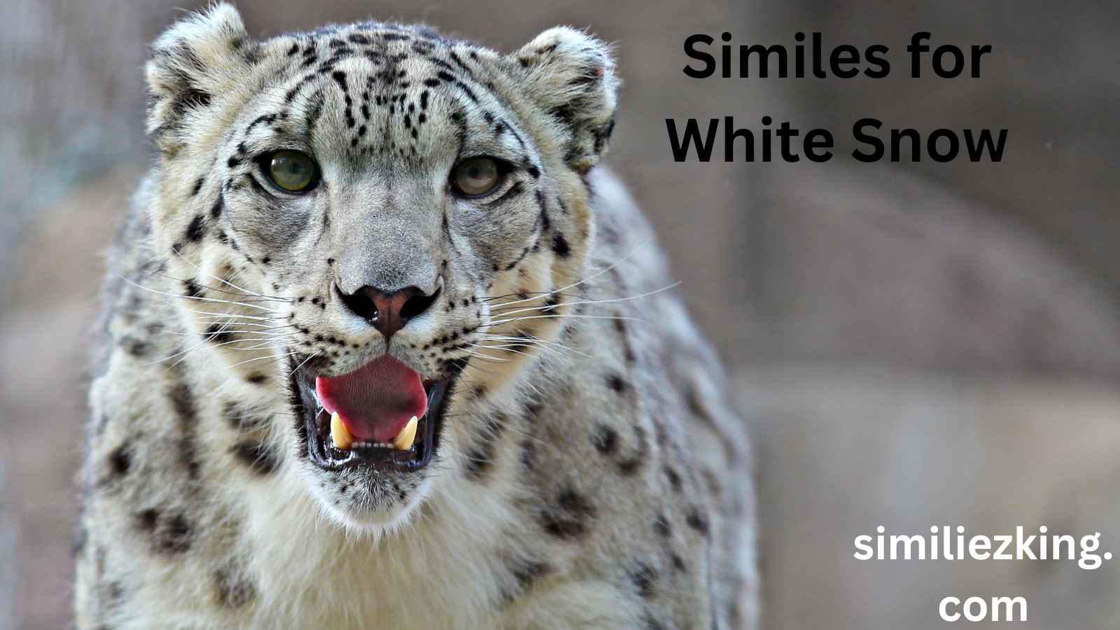 You are currently viewing 15+ Similes for White Snow