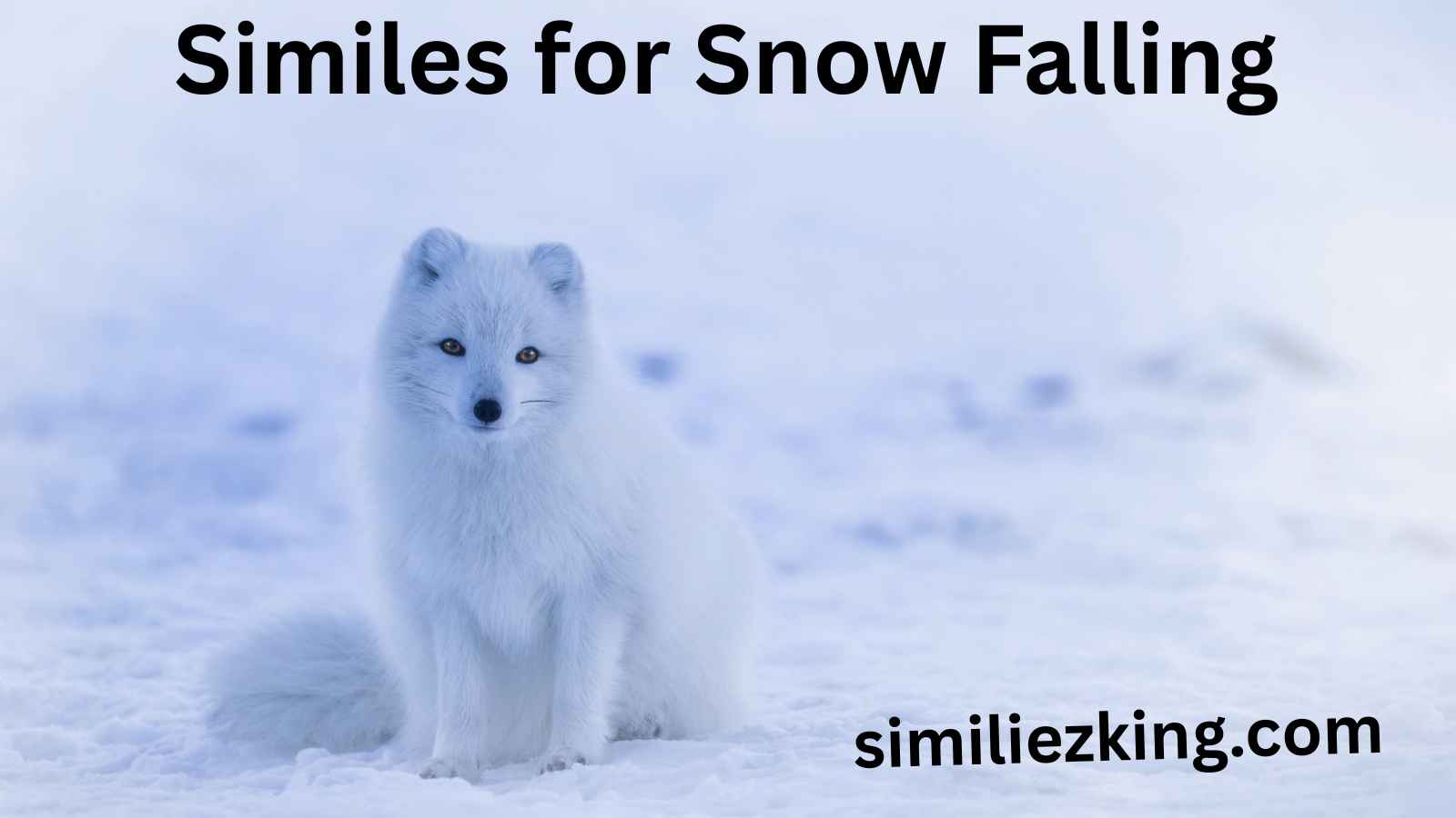 Read more about the article 20 Similes for Snow Falling: Poetic Expressions and Casual Alternatives