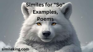 Read more about the article 25 Similes for “So” Examples, Poems, and Casual Alternatives