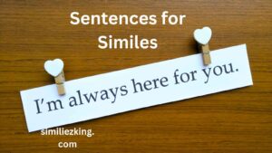 Read more about the article 10+ Sentences for Similes