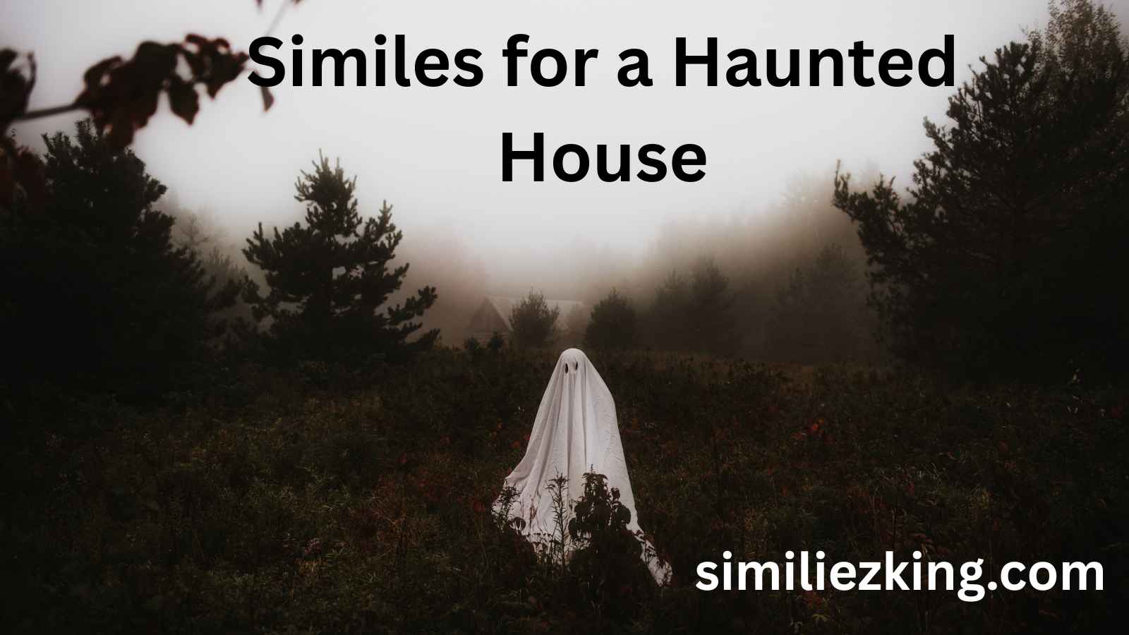 You are currently viewing 20+ Similes for a Haunted House: Creative and Expressive Alternatives