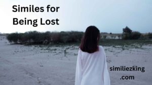 Read more about the article 15+ Similes for Being Lost: Expressing Confusion and Disorientation Creatively