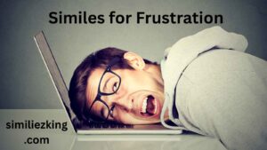 Read more about the article 15+ Similes for Frustration