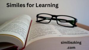 Read more about the article 25+ Similes for Learning