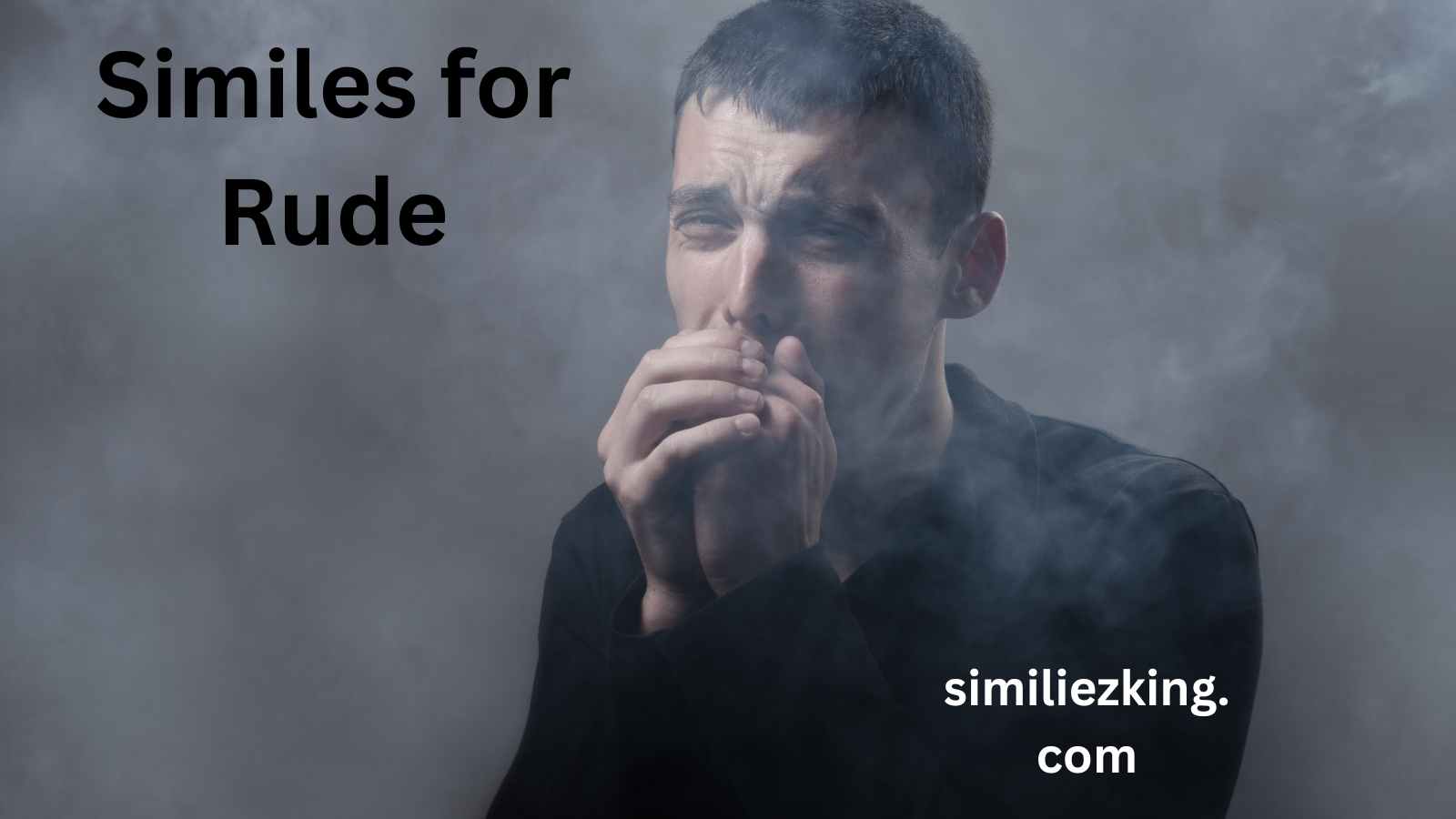 You are currently viewing 20+ Similes for Rude