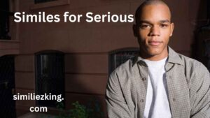 Read more about the article 25+ Similes for Serious