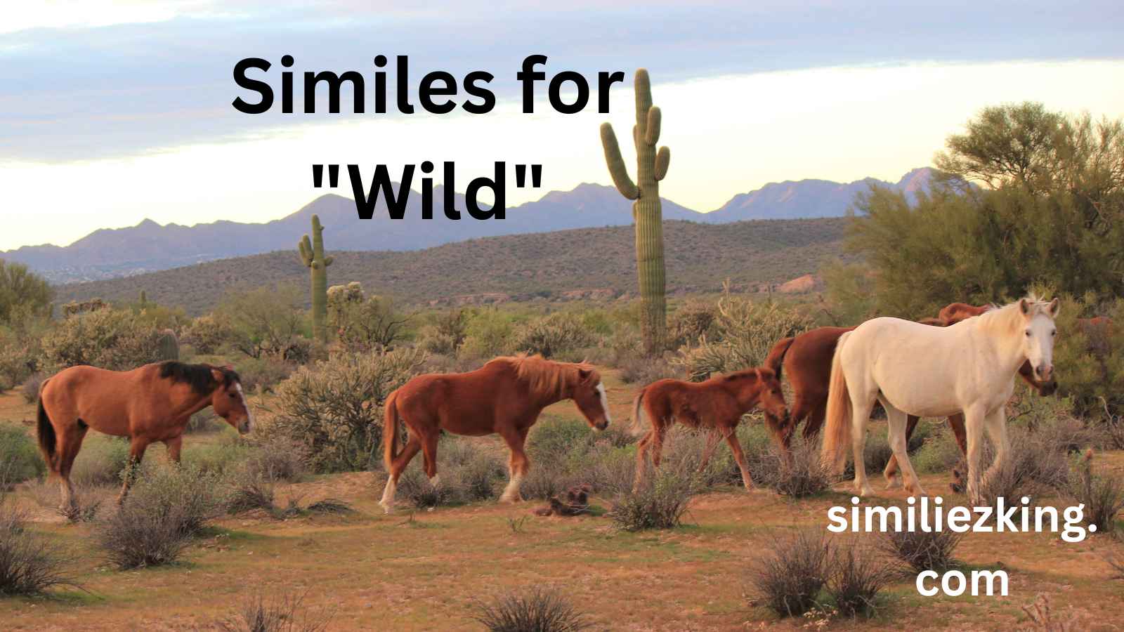 You are currently viewing 10+ Similes for “Wild”
