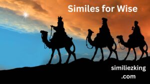 Read more about the article 15+ Similes for Wise: A Guide to Polite, Professional, and Casual Alternatives