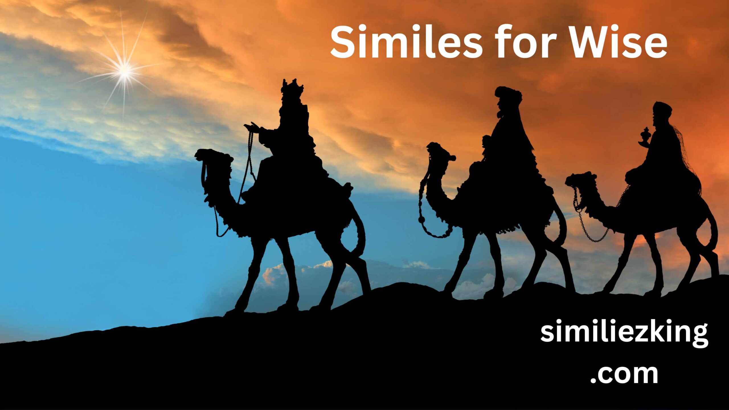 You are currently viewing 15+ Similes for Wise: A Guide to Polite, Professional, and Casual Alternatives