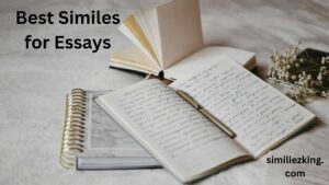 Read more about the article 20+ Best Similes for Essays