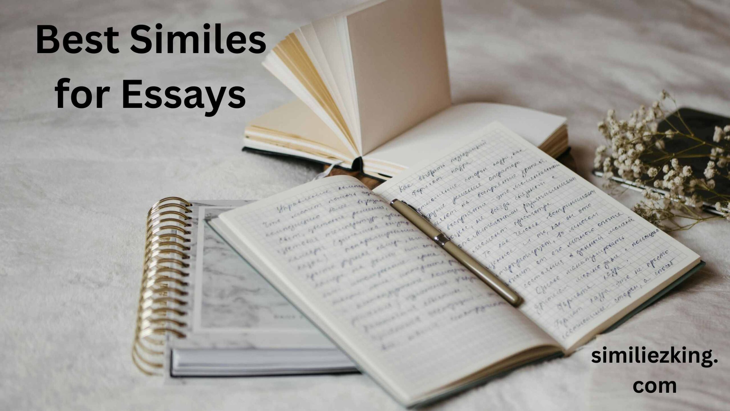 You are currently viewing 20+ Best Similes for Essays