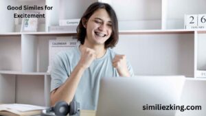 Read more about the article 25+ Good Similes for Excitement