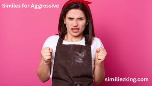 Read more about the article 25+ Similes for Aggressive