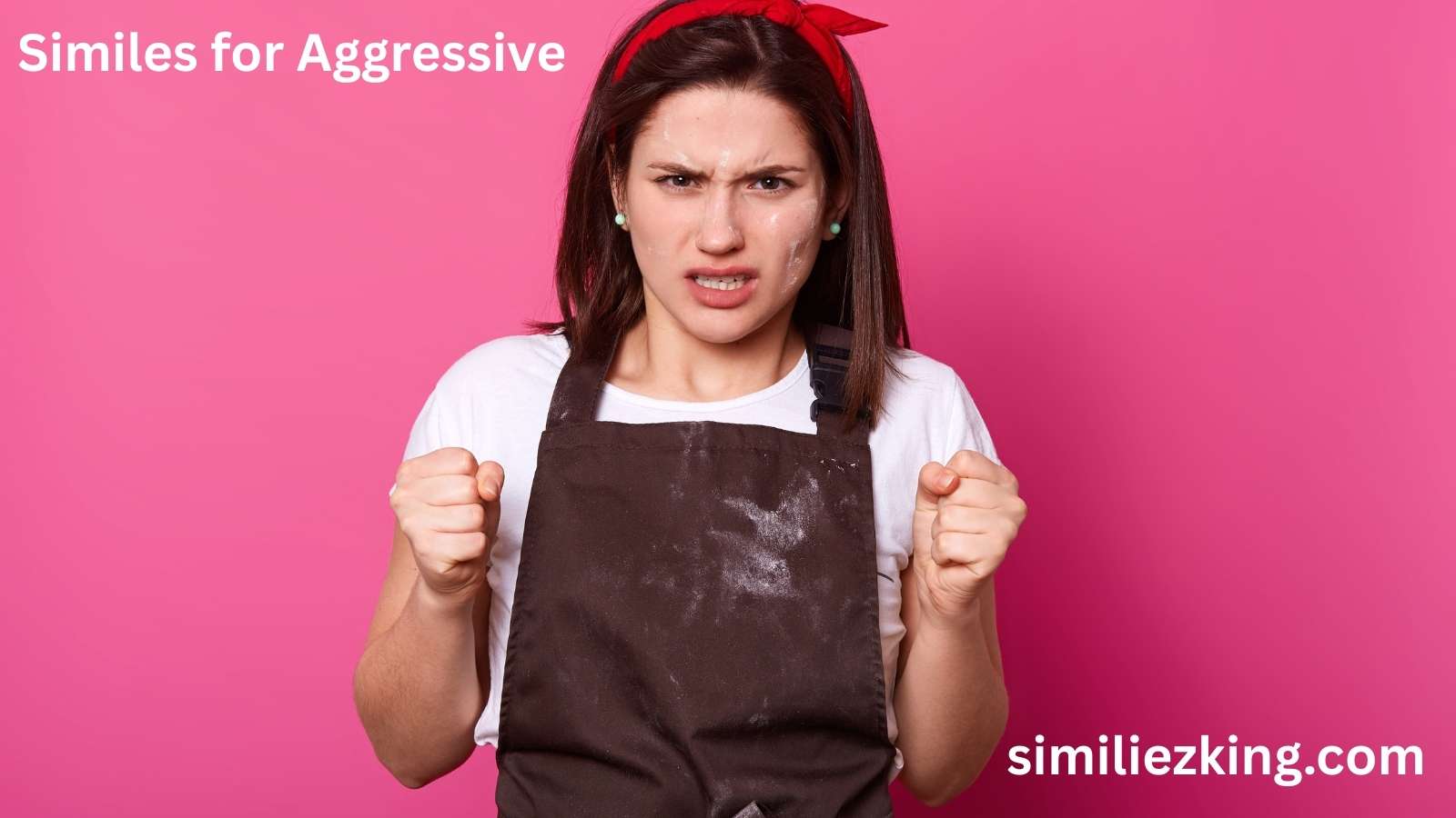You are currently viewing 25+ Similes for Aggressive