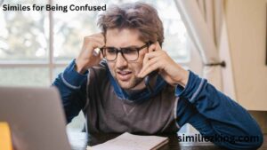 Read more about the article 20+ Similes for Being Confused