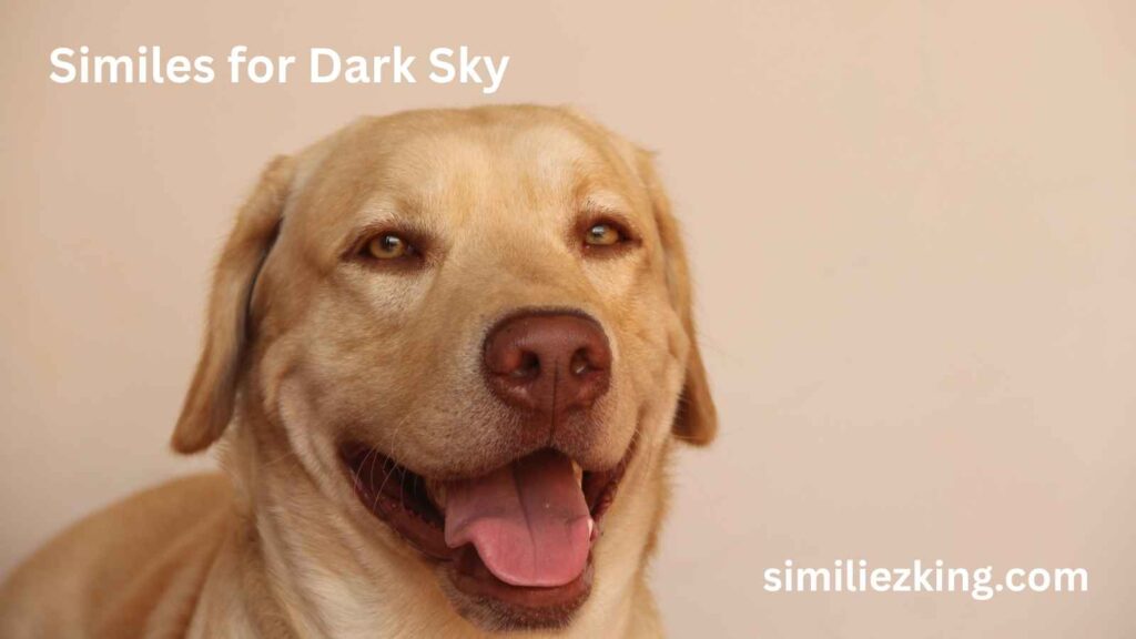 20+ Similes for Dark Sky