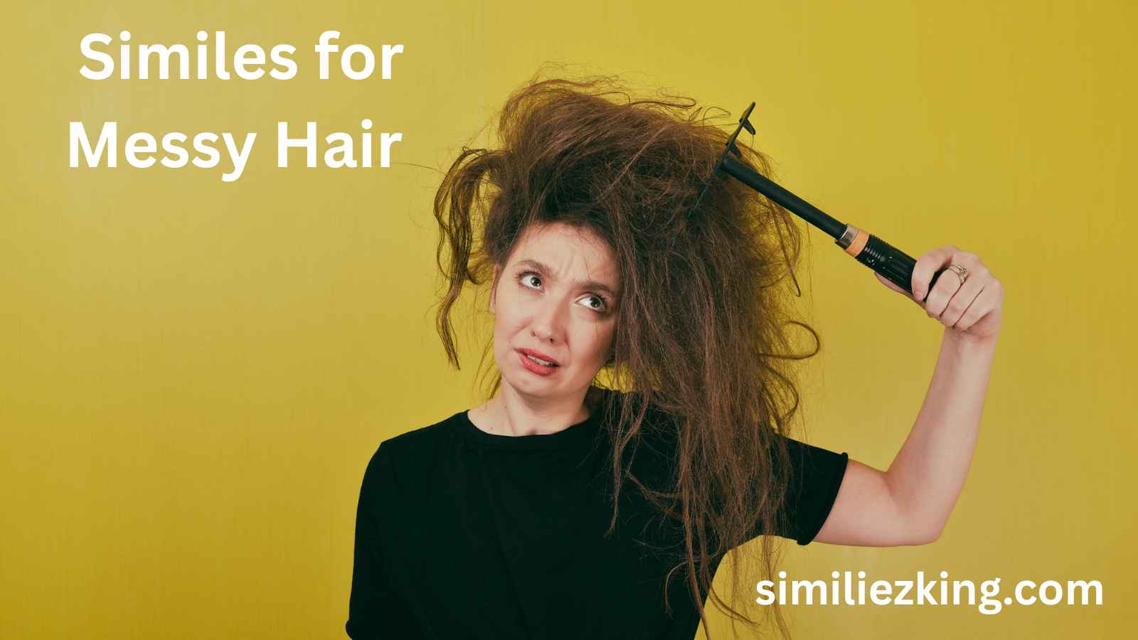 You are currently viewing 10+ Similes for Messy Hair