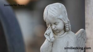 Read more about the article 25+ Similes for Tears