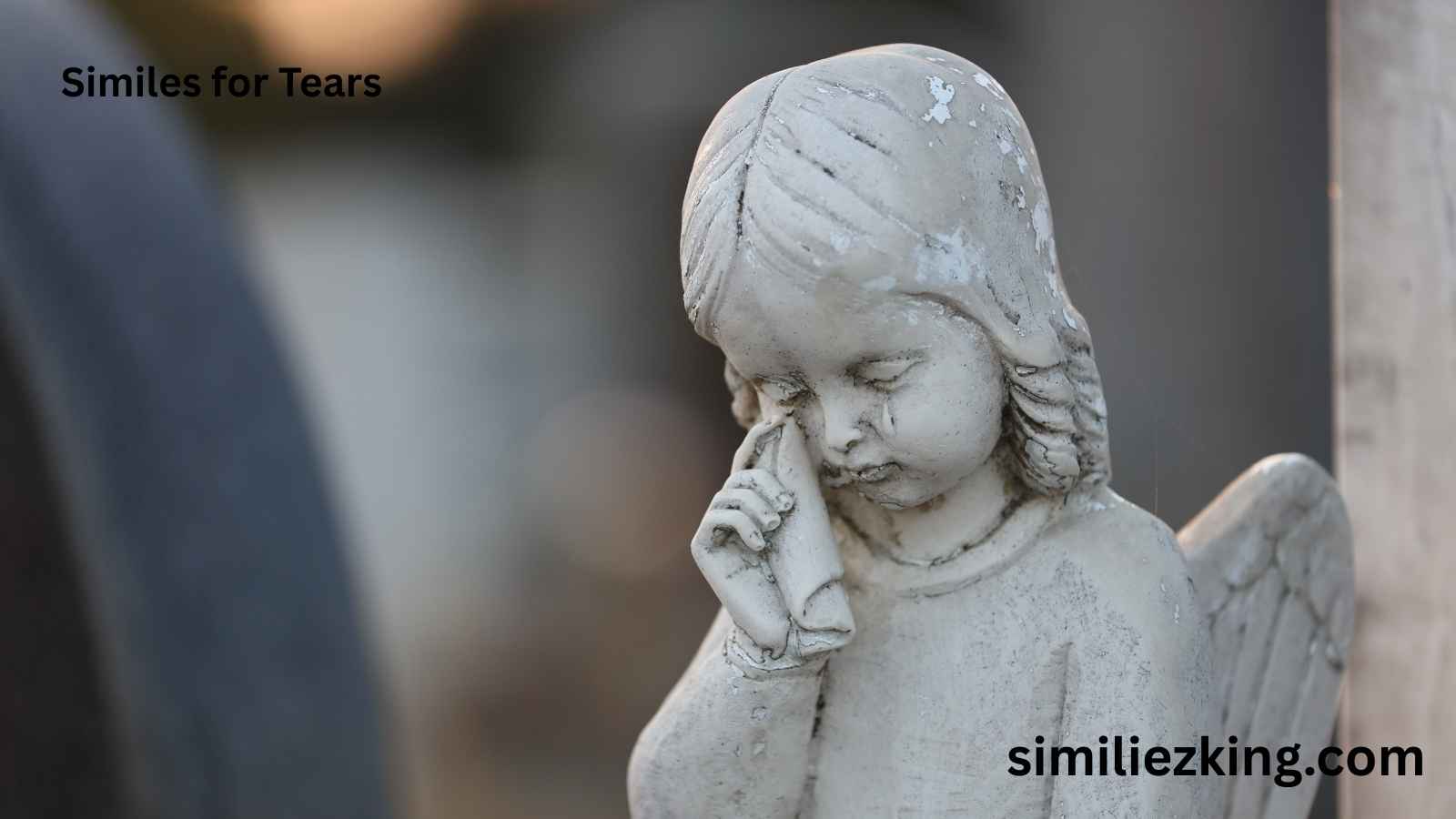 Read more about the article 25+ Similes for Tears
