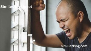 Read more about the article 25+ Similes for Upset