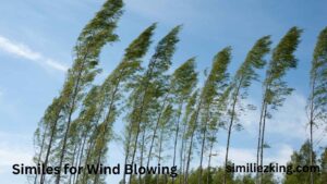 Read more about the article 10+ Similes for Wind Blowing