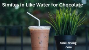 Read more about the article 15+ Similes in Like Water for Chocolate